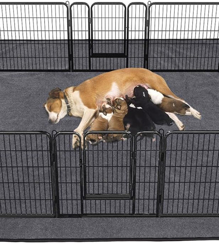 Washable Dog Pee Pad Extra Large 72"X72"/65"X48" Reusable Whelping Pads, Waterproof Dog Mat Non-Slip Puppy Potty Training Pad Playpen Mat for Dogs, Guinea Pigs, Rabbits